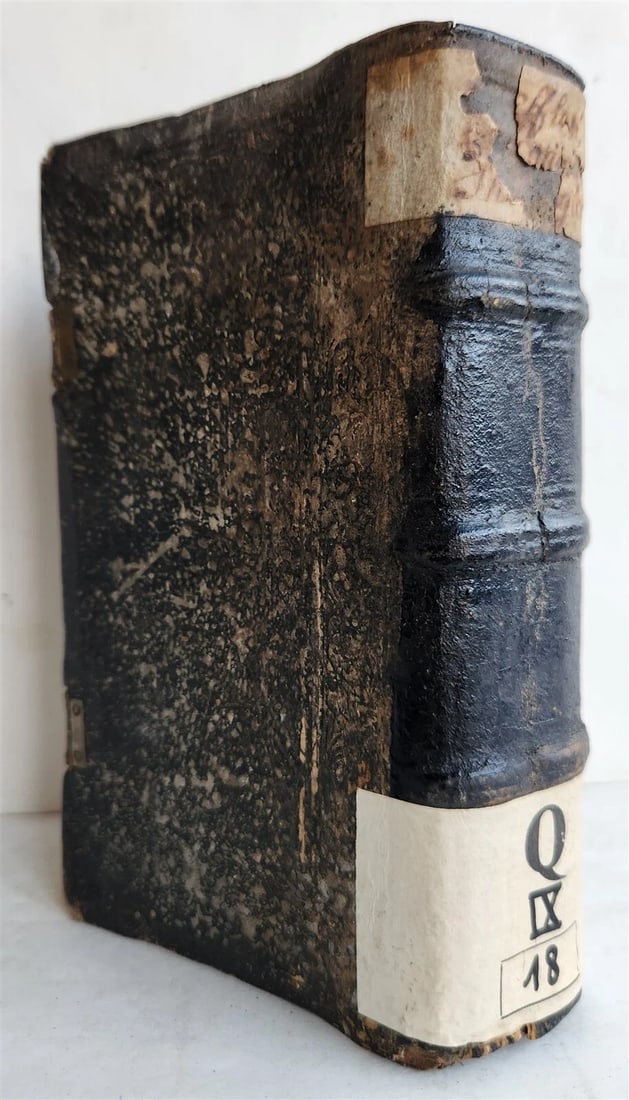 1561 THEOLOGY by FLORIAN TREFLER antique PIGSKIN BINDING 16th CENTURY - 2