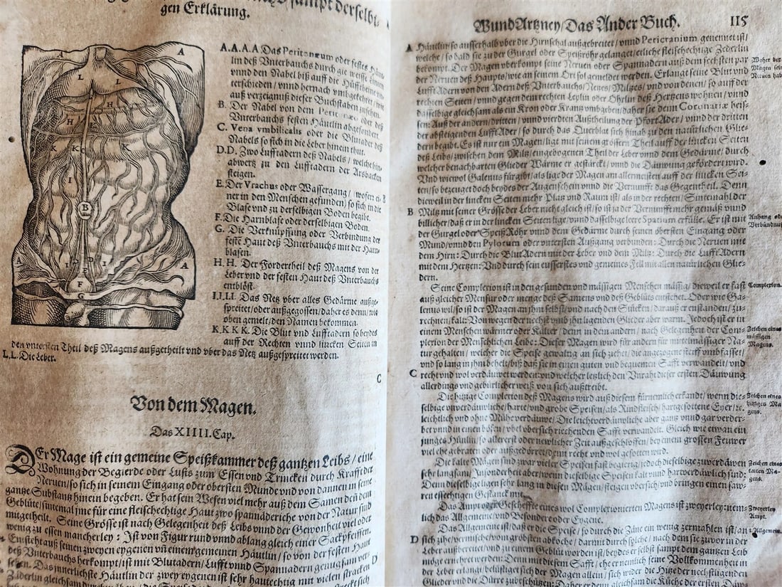 1601 WOUND MEDICINE antique ILLUSTRATED WundArtzney oder Artzney spiegell FOLIO - 10