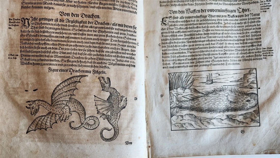 1601 WOUND MEDICINE antique ILLUSTRATED WundArtzney oder Artzney spiegell FOLIO - 12