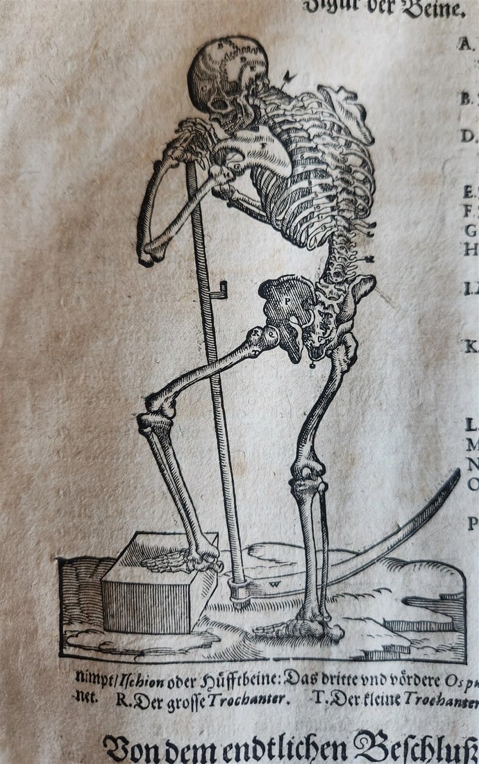 1601 WOUND MEDICINE antique ILLUSTRATED WundArtzney oder Artzney spiegell FOLIO - 2