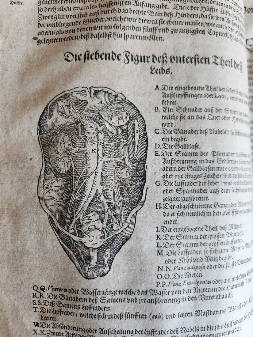 1601 WOUND MEDICINE antique ILLUSTRATED WundArtzney oder Artzney spiegell FOLIO - 8