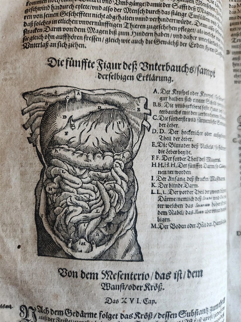 1601 WOUND MEDICINE antique ILLUSTRATED WundArtzney oder Artzney spiegell FOLIO - 9