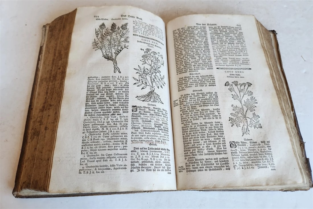 1744 THEATRUM BOTANICUM ULLISTRATED GERMAN HERBAL antique PIGSKIN BOUND FOLIO - 10