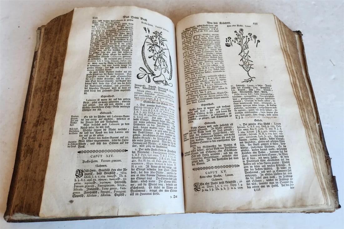 1744 THEATRUM BOTANICUM ULLISTRATED GERMAN HERBAL antique PIGSKIN BOUND FOLIO - 11