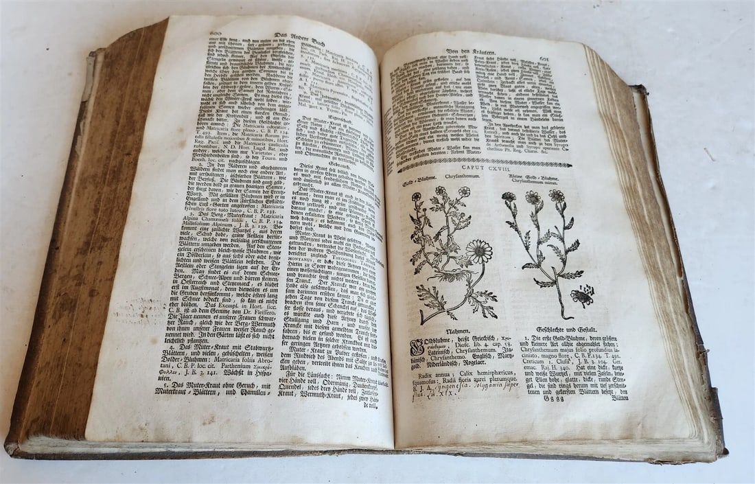 1744 THEATRUM BOTANICUM ULLISTRATED GERMAN HERBAL antique PIGSKIN BOUND FOLIO - 14