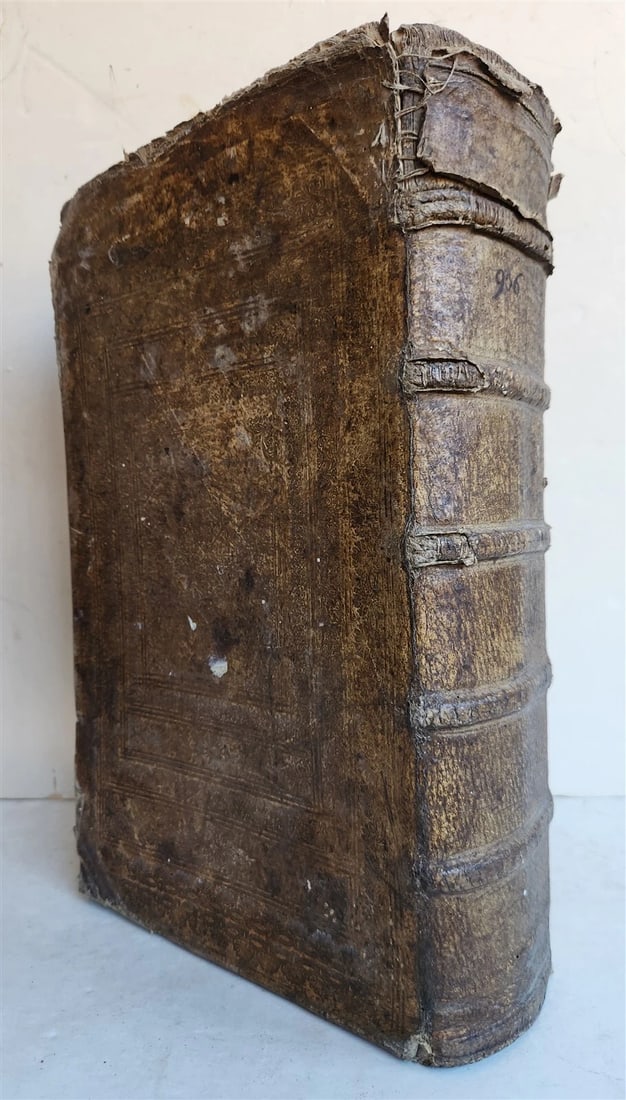 1744 THEATRUM BOTANICUM ULLISTRATED GERMAN HERBAL antique PIGSKIN BOUND FOLIO - 3