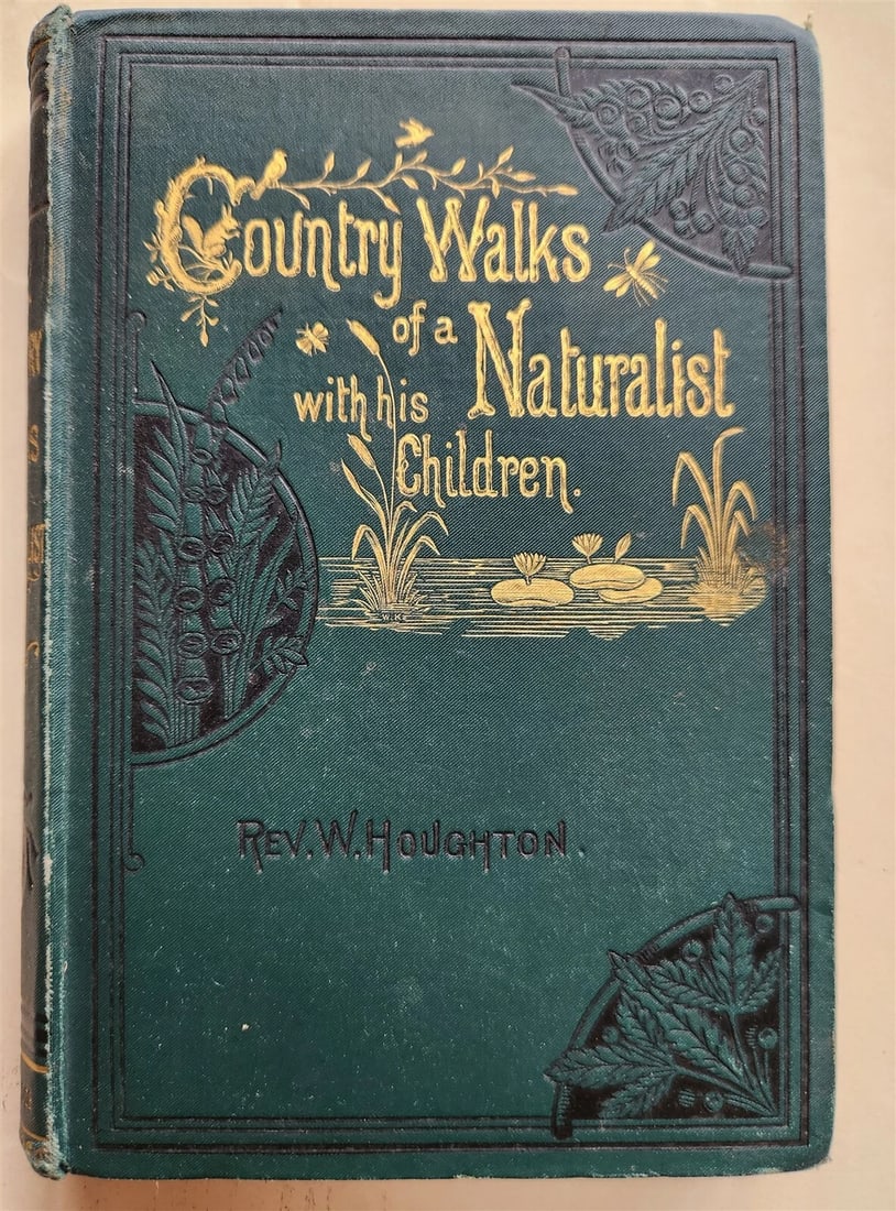 1878 COUNTRY WALKS of a NATURALIST with HIS CHILDREN antique ILLUSTRATED - 2