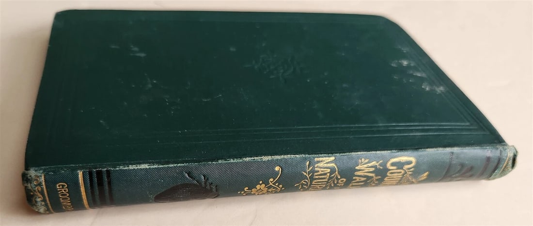 1878 COUNTRY WALKS of a NATURALIST with HIS CHILDREN antique ILLUSTRATED - 3