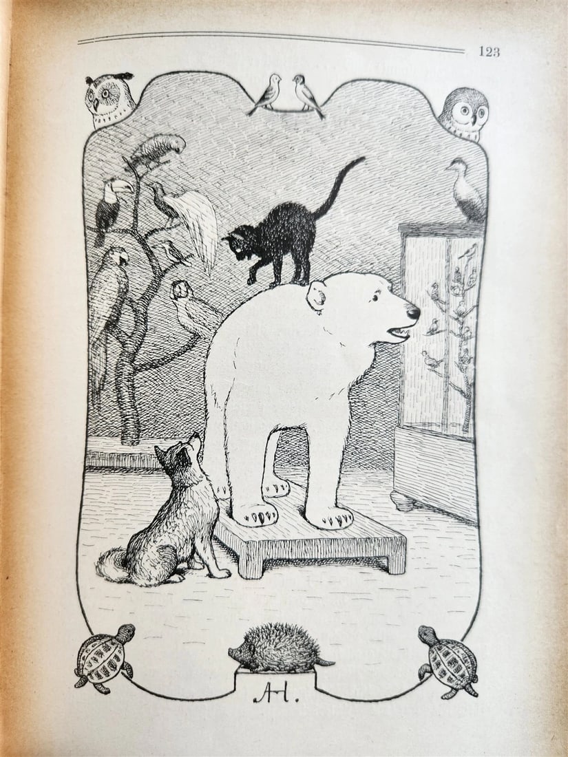 1900s ILLUSTRATED GERMAN CHILDREN BOOK antique FAIRYTALE LAND OF ANIMALS - 12