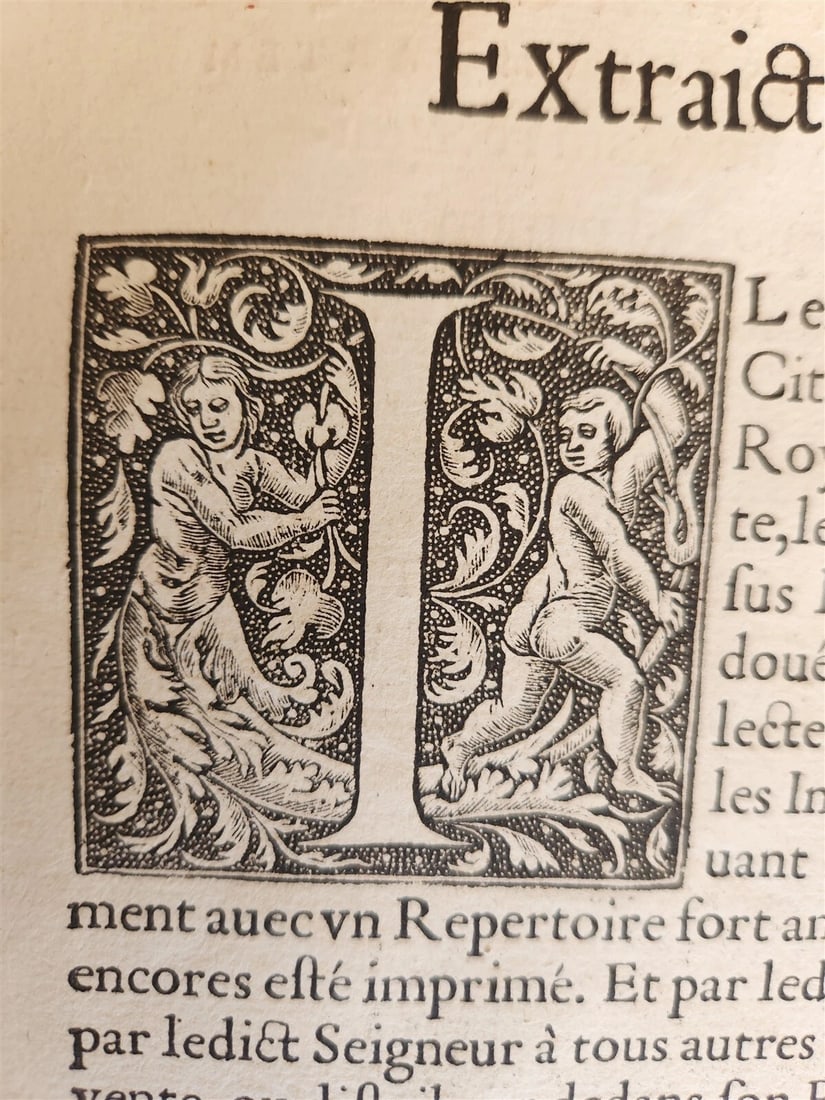 1556 LAW BOOK Corpus Juris Civilis DIGESTUM NOVUM antique MASSIVE FOLIO vellum - 4