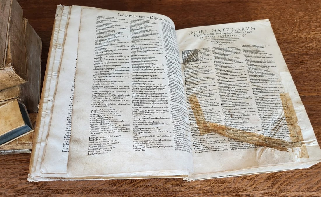 1556 LAW BOOK Corpus Juris Civilis DIGESTUM NOVUM antique MASSIVE FOLIO vellum - 7