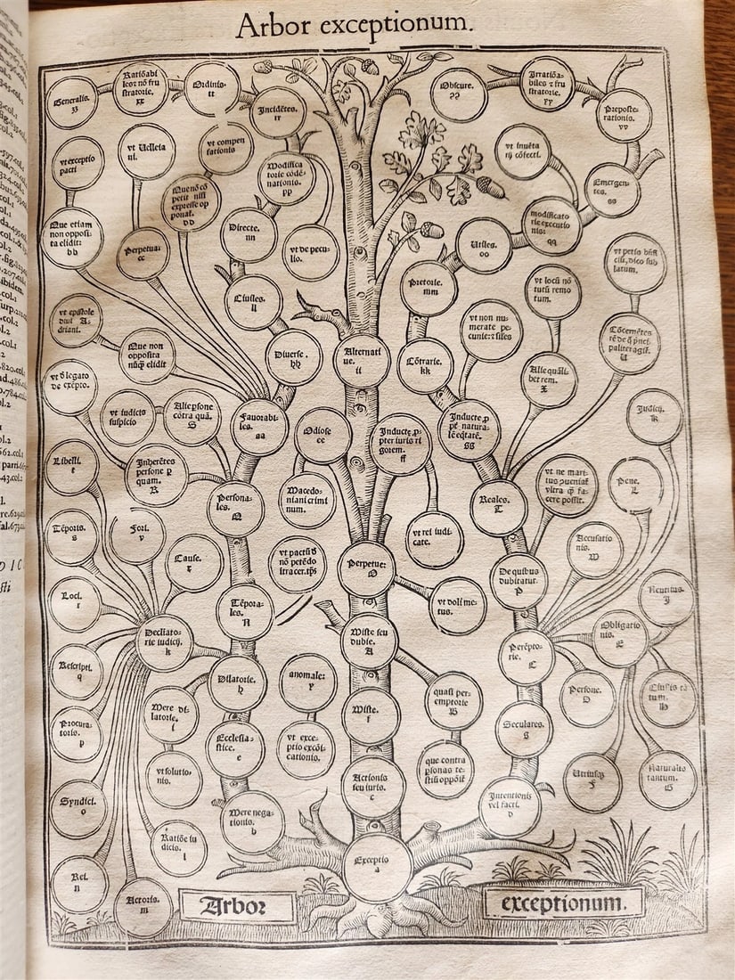 1556 LAW BOOK Corpus Juris Civilis DIGESTUM NOVUM antique MASSIVE FOLIO vellum - 9