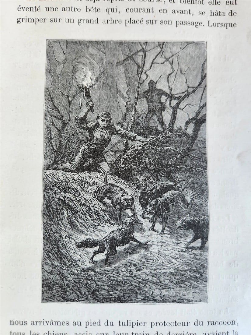 1884 HUNTING in NORTH AMERICA CHASSES dans AMERIQUE du NORD antique ILLUSTRATED - 11