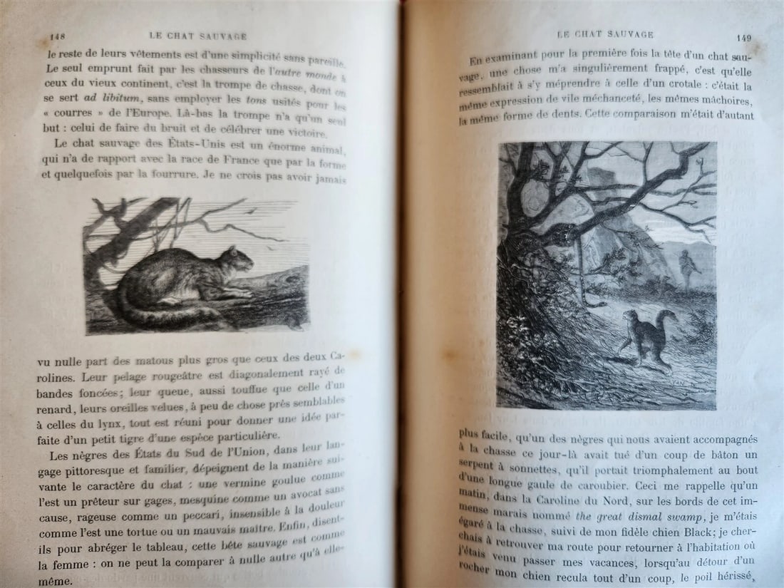 1884 HUNTING in NORTH AMERICA CHASSES dans AMERIQUE du NORD antique ILLUSTRATED - 8