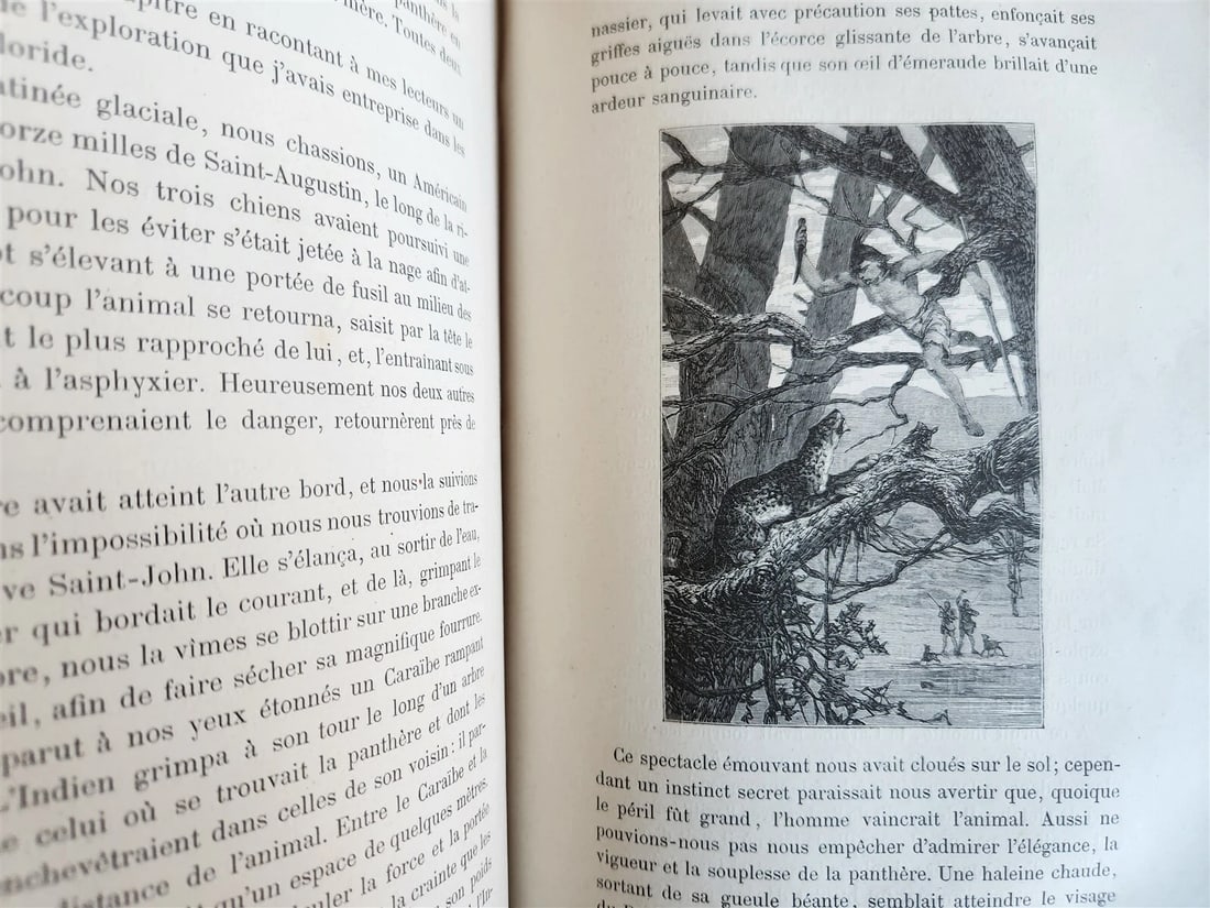 1884 HUNTING in NORTH AMERICA CHASSES dans AMERIQUE du NORD antique ILLUSTRATED - 9