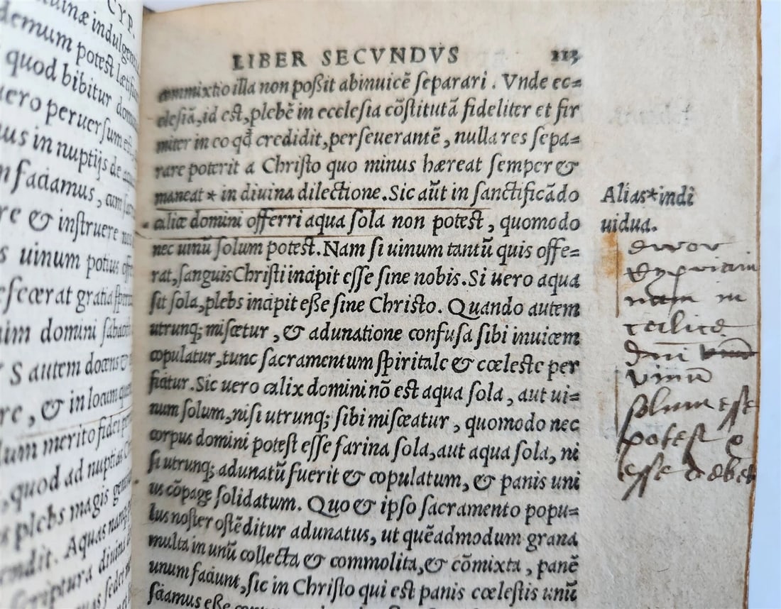 1524 OPERUM DIVI CAECILII CYPRIANI antique 16th CENTURY post-incunabula - 10