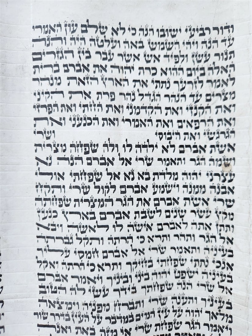 TORAH SCROLL FRAGMENT MANUSCRIPT on VELLUM antique BIBLE GENESIS 15:16-19:14 - 4