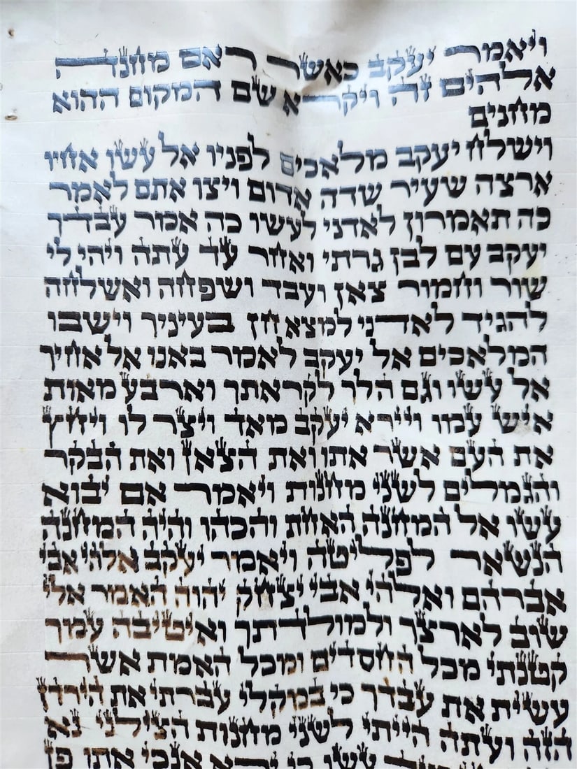 TORAH SCROLL FRAGMENT MANUSCRIPT on VELLUM antique BIBLE GENESIS 31:2-32:28 - 2