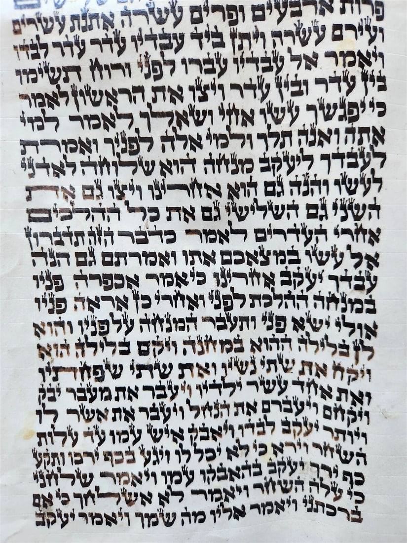 TORAH SCROLL FRAGMENT MANUSCRIPT on VELLUM antique BIBLE GENESIS 31:2-32:28 - 3