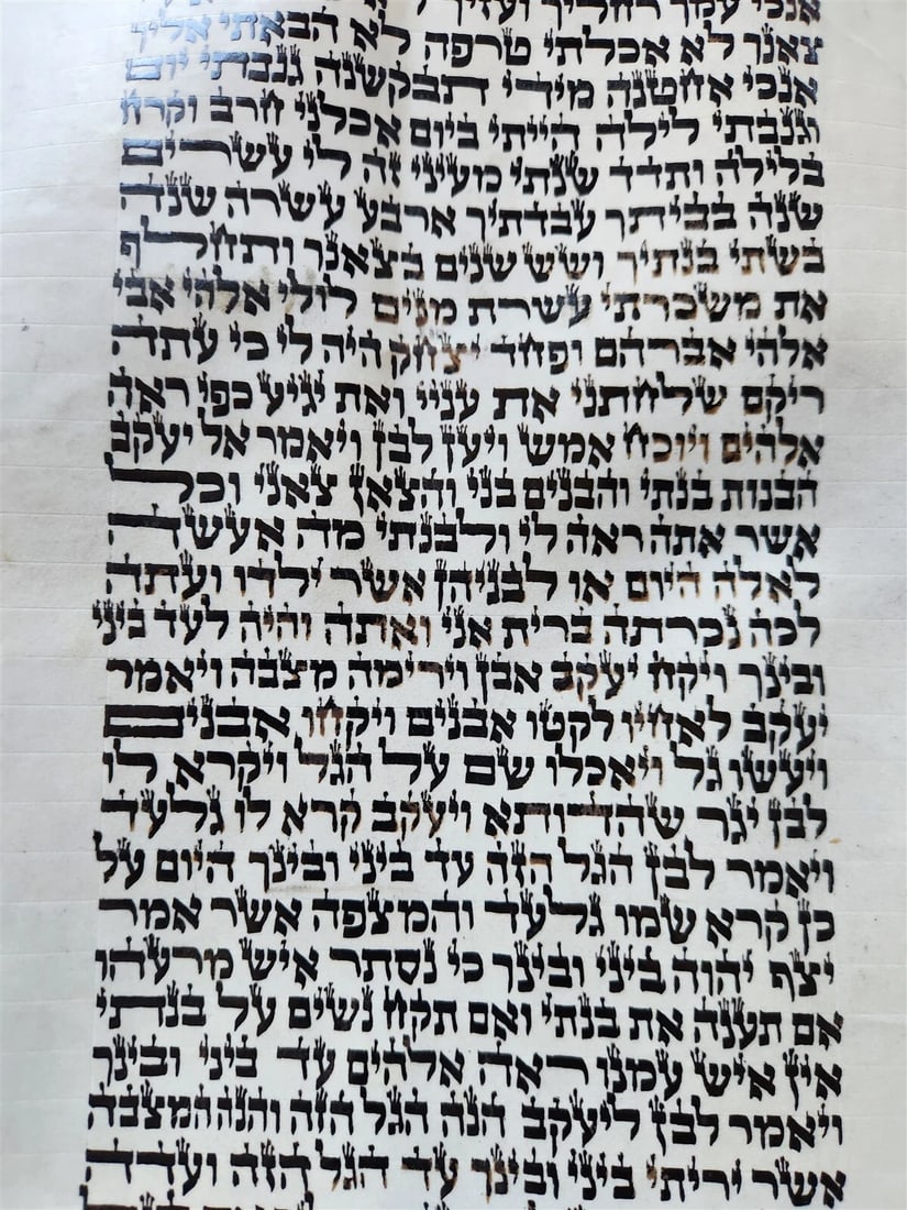 TORAH SCROLL FRAGMENT MANUSCRIPT on VELLUM antique BIBLE GENESIS 31:2-32:28 - 6
