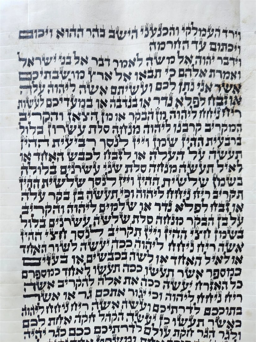TORAH SCROLL FRAGMENT MANUSCRIPT on VELLUM antique BIBLE NUMBERS 14:45-16:25 - 3