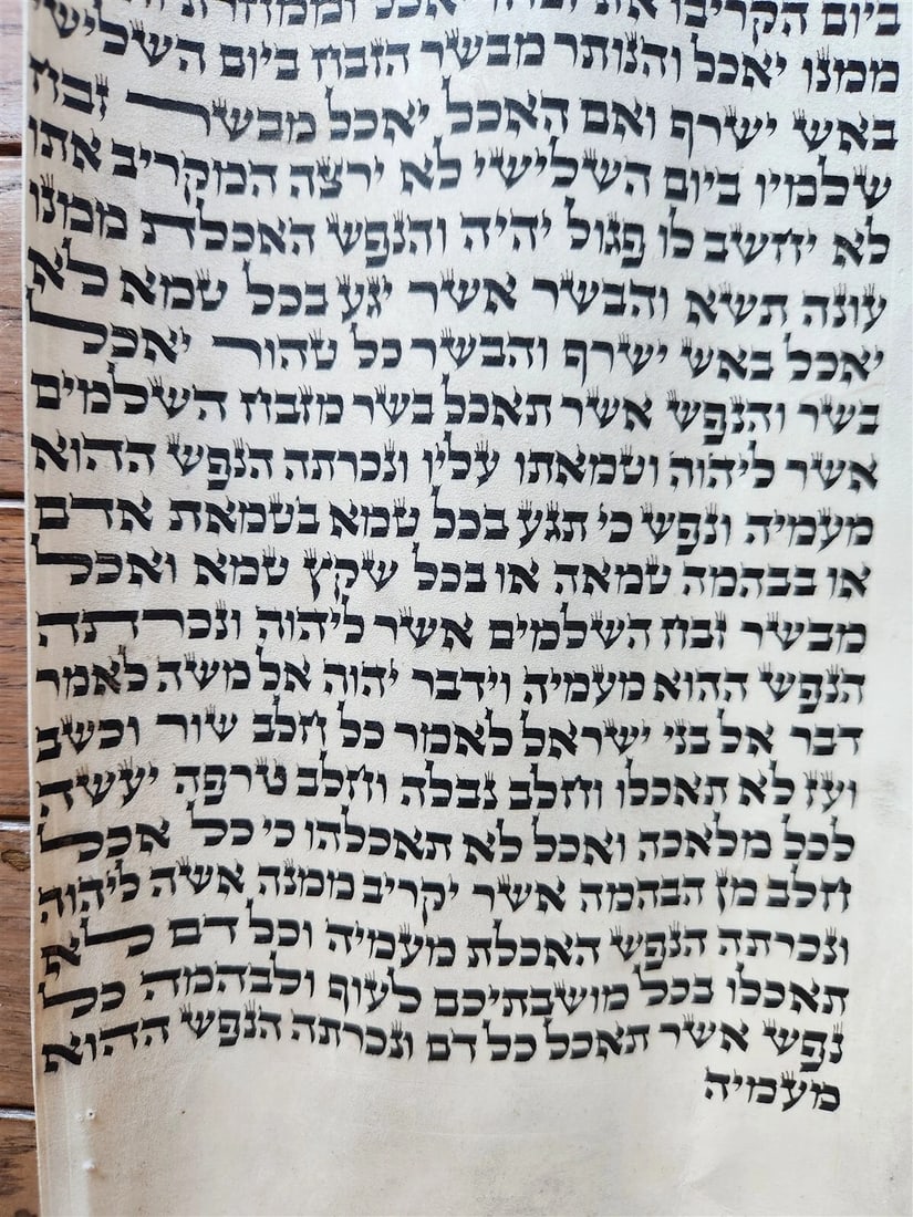 TORAH SCROLL FRAGMENT MANUSCRIPT on VELLUM antique BIBLE LEVITICUS 7:4-7:27 - 3