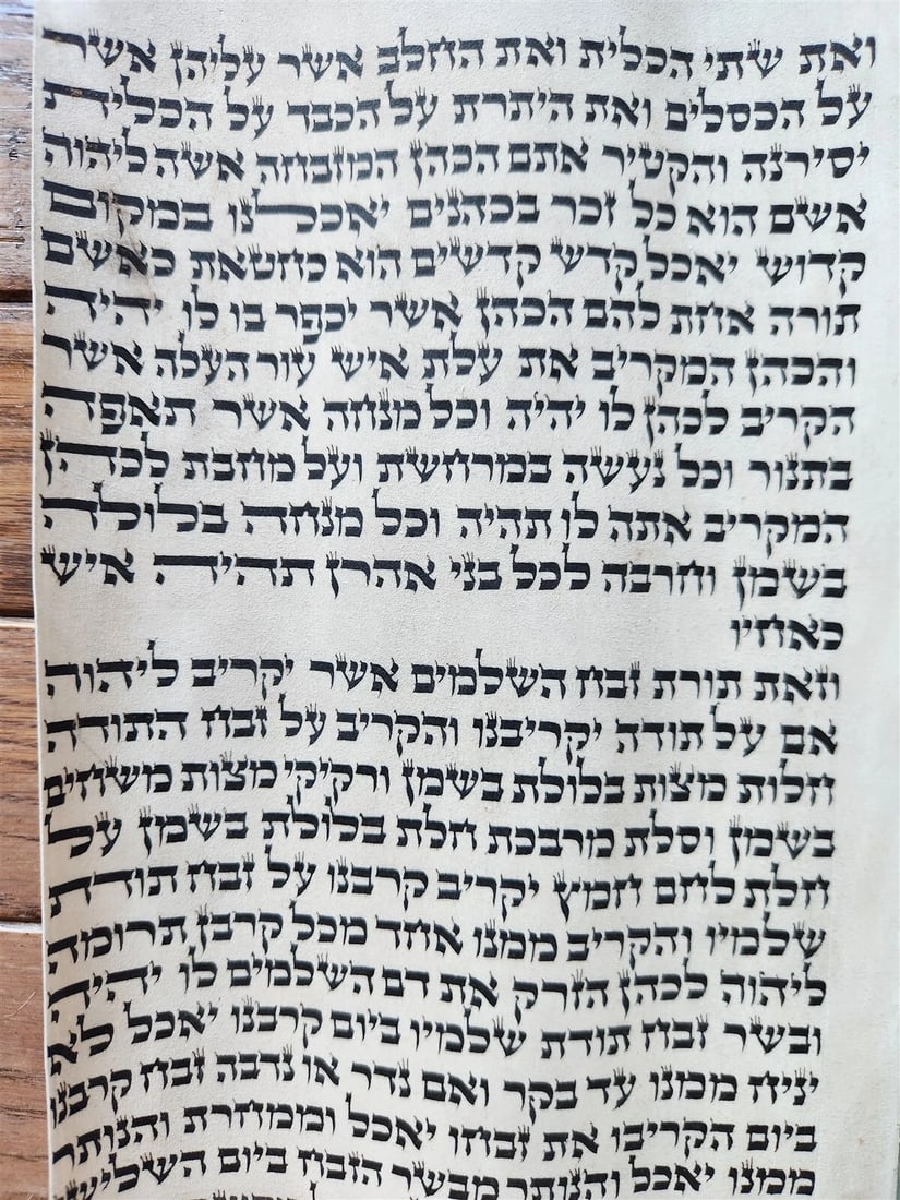 TORAH SCROLL FRAGMENT MANUSCRIPT on VELLUM antique BIBLE LEVITICUS 7:4-7:27 - 4