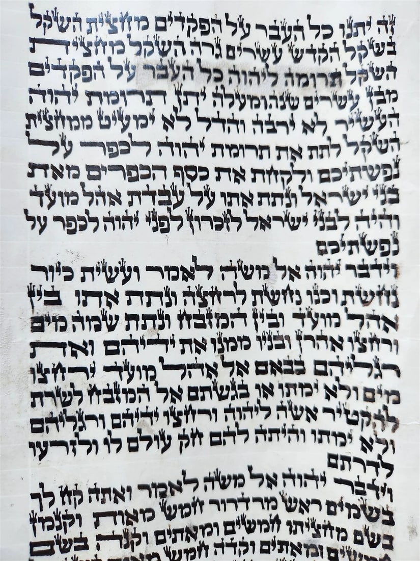 TORAH SCROLL FRAGMENT MANUSCRIPT on VELLUM antique BIBLE EXODUS 30:13-33:19 - 3