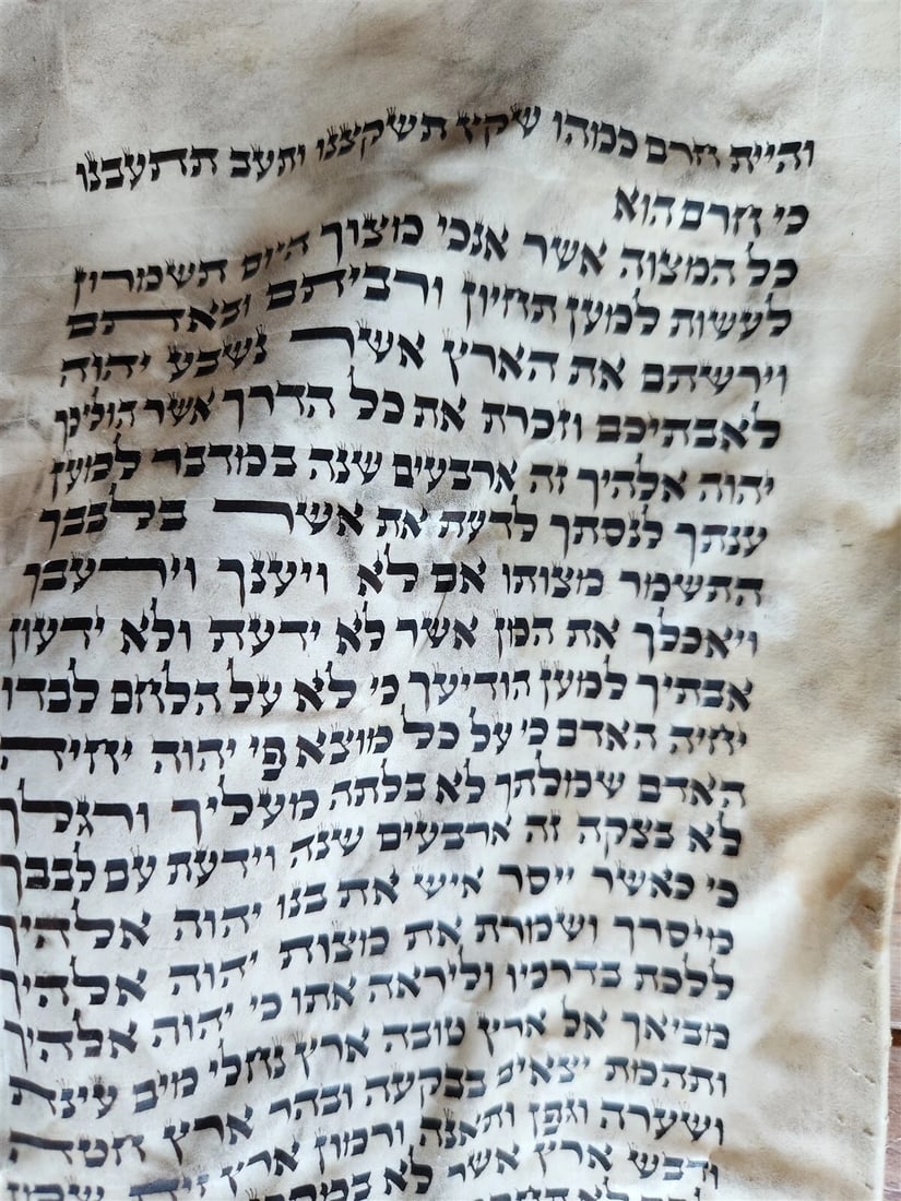 TORAH SCROLL FRAGMENT MANUSCRIPT on VELLUM antique BIBLE DEUTERONOMY 7:26-1:4 - 2