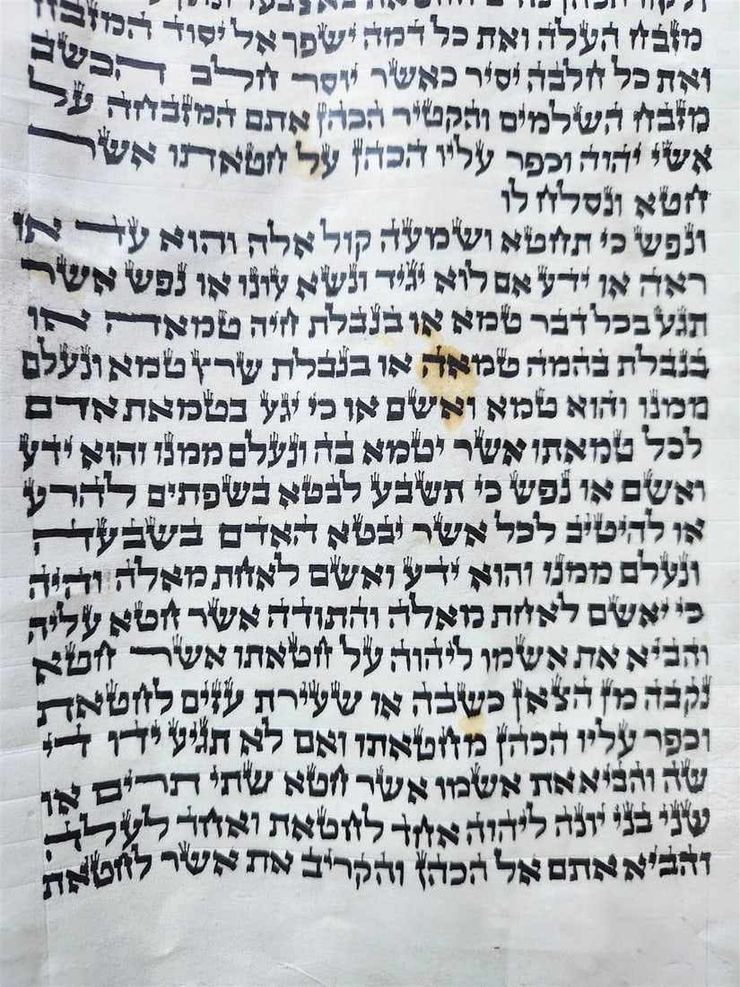 TORAH SCROLL FRAGMENT MANUSCRIPT on VELLUM antique BIBLE LEVITICUS 4:23-6:3 - 2