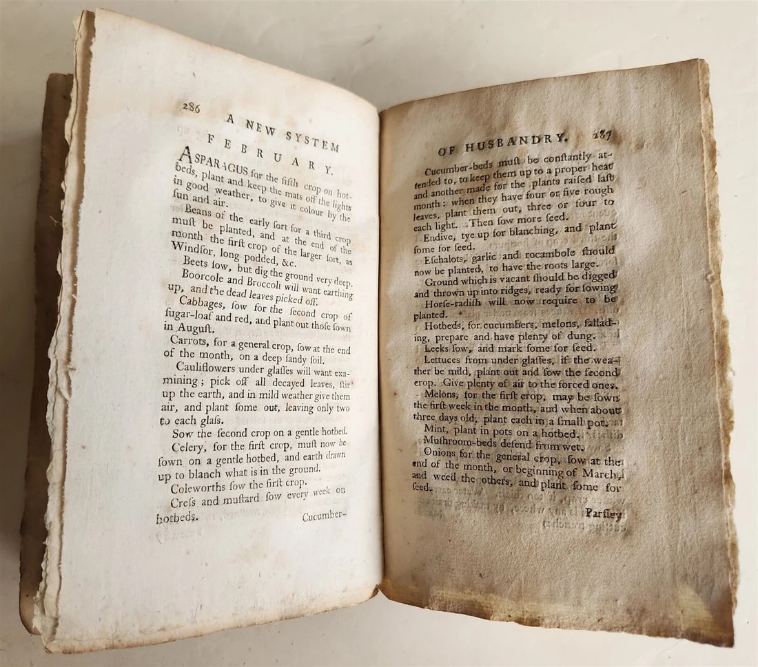 1785 NEW SYSTEM of HUSBANDRY by C.VARLO antique PHILADELPHIA - 6