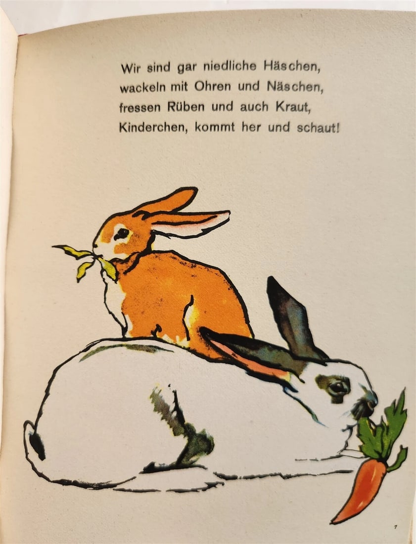 1960s ILLUSTRATED CHILDREN BOOK vintage NEUE TIER-BILDER by P.LEUTERITZ - 9