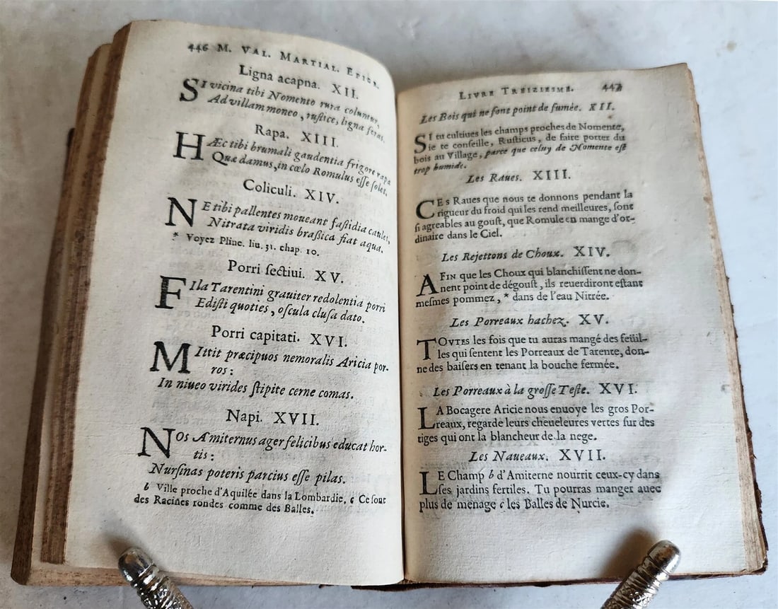 1655 MARTIALIS EPIGRAMMES 2 VOLUMES antique in FRENCH & LATIN - 7