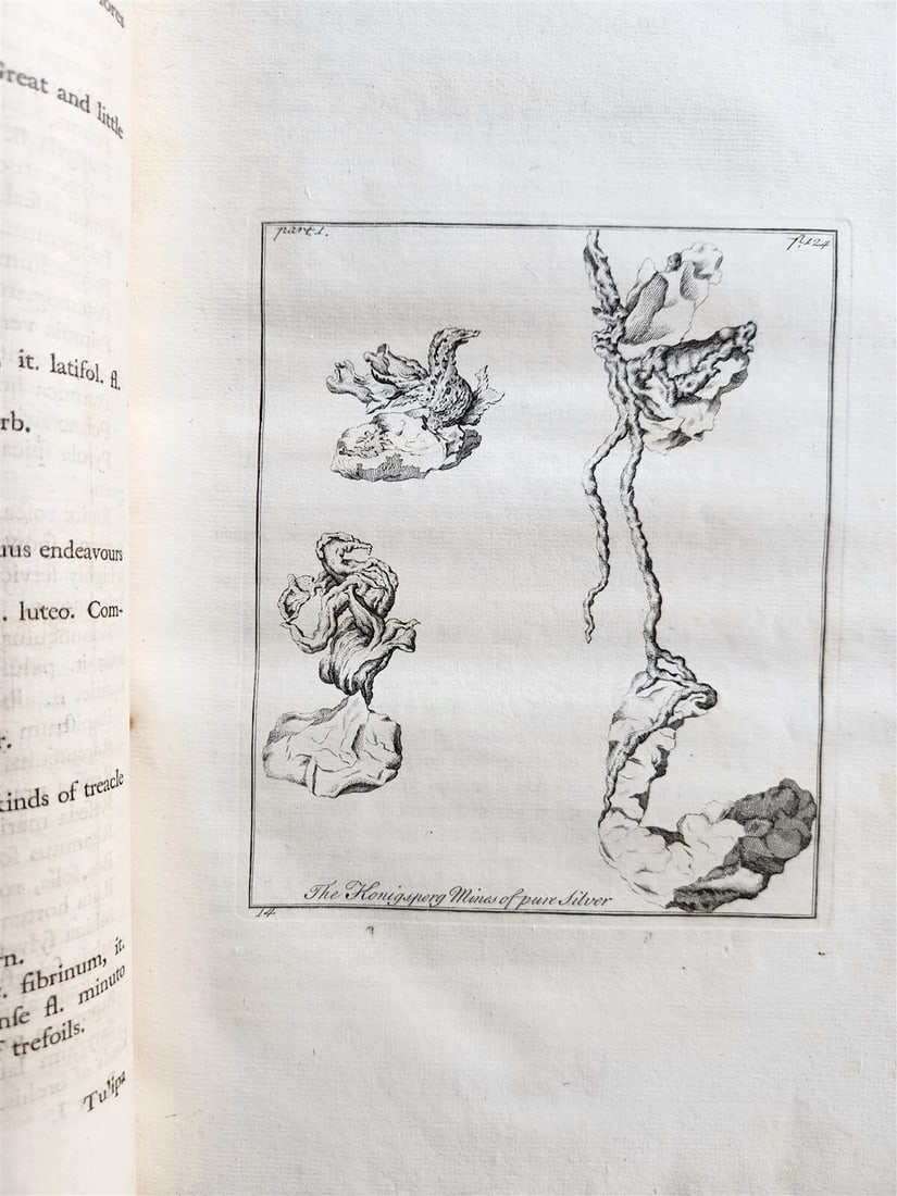 1755 NATURAL HISTORY of NORWAY ILLUSTRATED Pontoppidan antique FOLIO in ENGLISH - 10