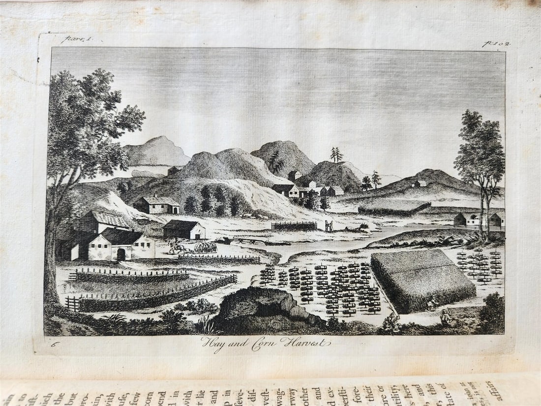 1755 NATURAL HISTORY of NORWAY ILLUSTRATED Pontoppidan antique FOLIO in ENGLISH - 11