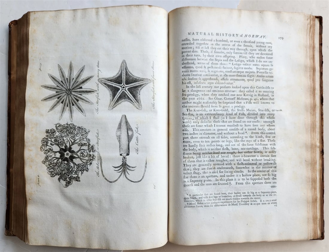 1755 NATURAL HISTORY of NORWAY ILLUSTRATED Pontoppidan antique FOLIO in ENGLISH - 14