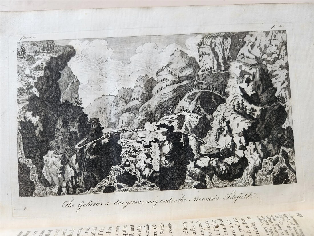 1755 NATURAL HISTORY of NORWAY ILLUSTRATED Pontoppidan antique FOLIO in ENGLISH - 8