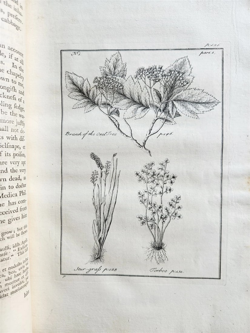 1755 NATURAL HISTORY of NORWAY ILLUSTRATED Pontoppidan antique FOLIO in ENGLISH - 9