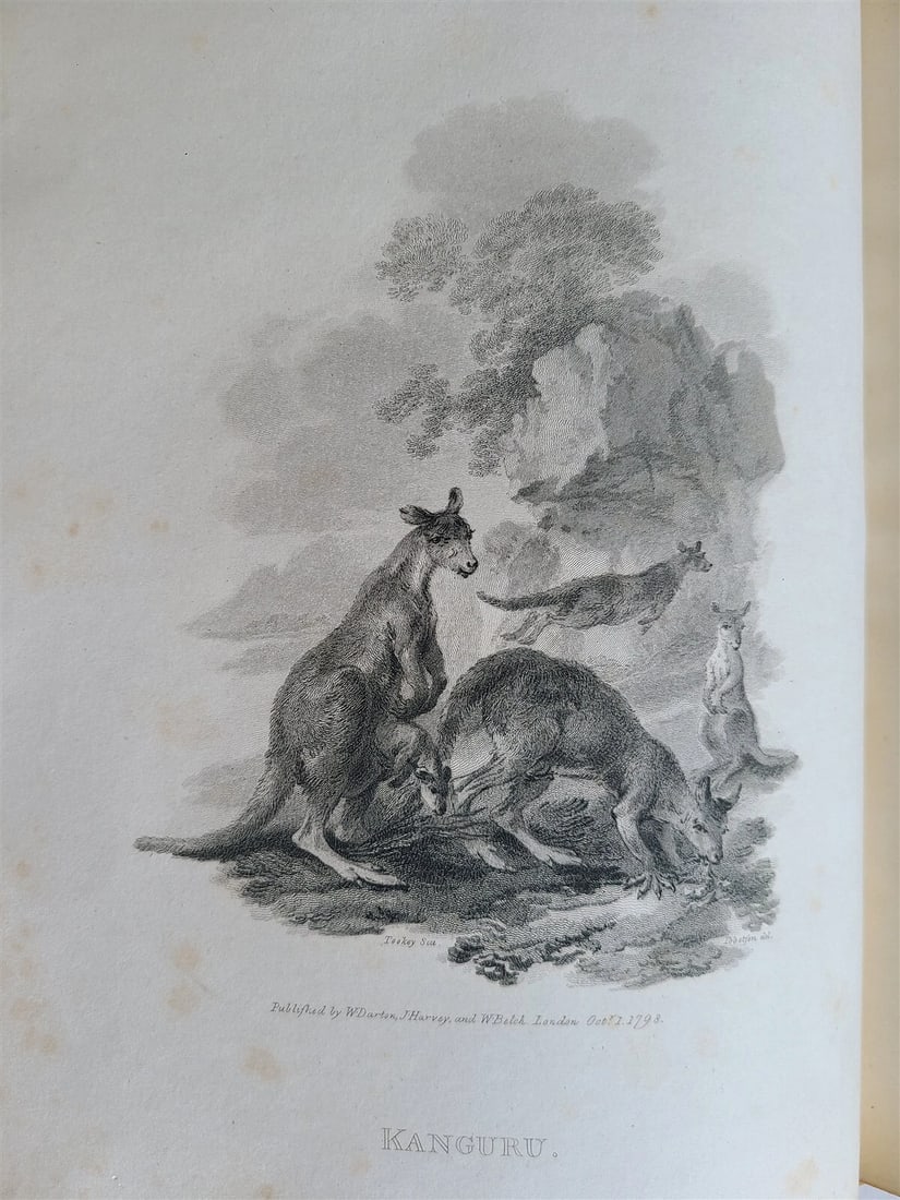 1805 CABINET of QUADRUPEDS ILLUSTRATED 2 FOLIO VOLUMES antique in ENGLISH - 12