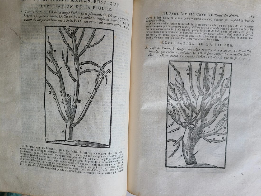 1777 2 VOLUMES antique ILLUSTRATED ANIMAL HUSBANDRY TOOLS PLANTING FORESTRY - 6
