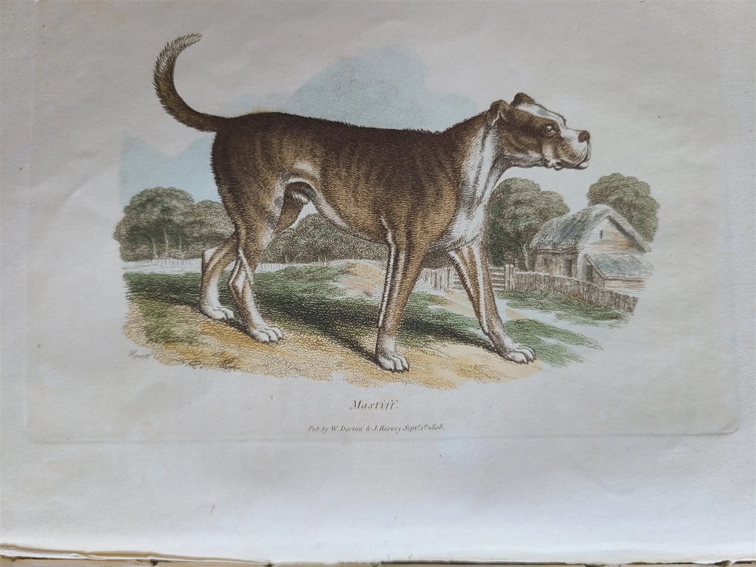 1809 BRITISH QUADRUPEDS by BINGLEY 2 VOLS FULLY ILLUSTRATED antique in ENGLISH - 10