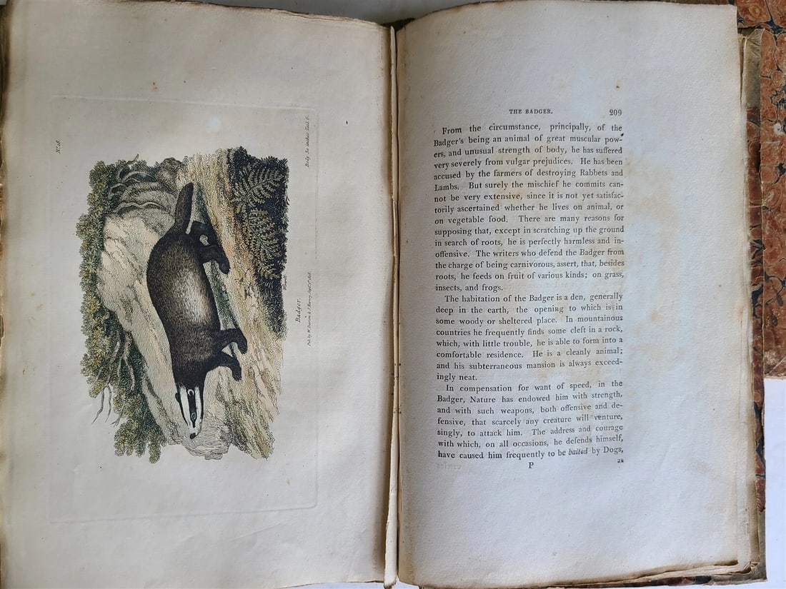 1809 BRITISH QUADRUPEDS by BINGLEY 2 VOLS FULLY ILLUSTRATED antique in ENGLISH - 3