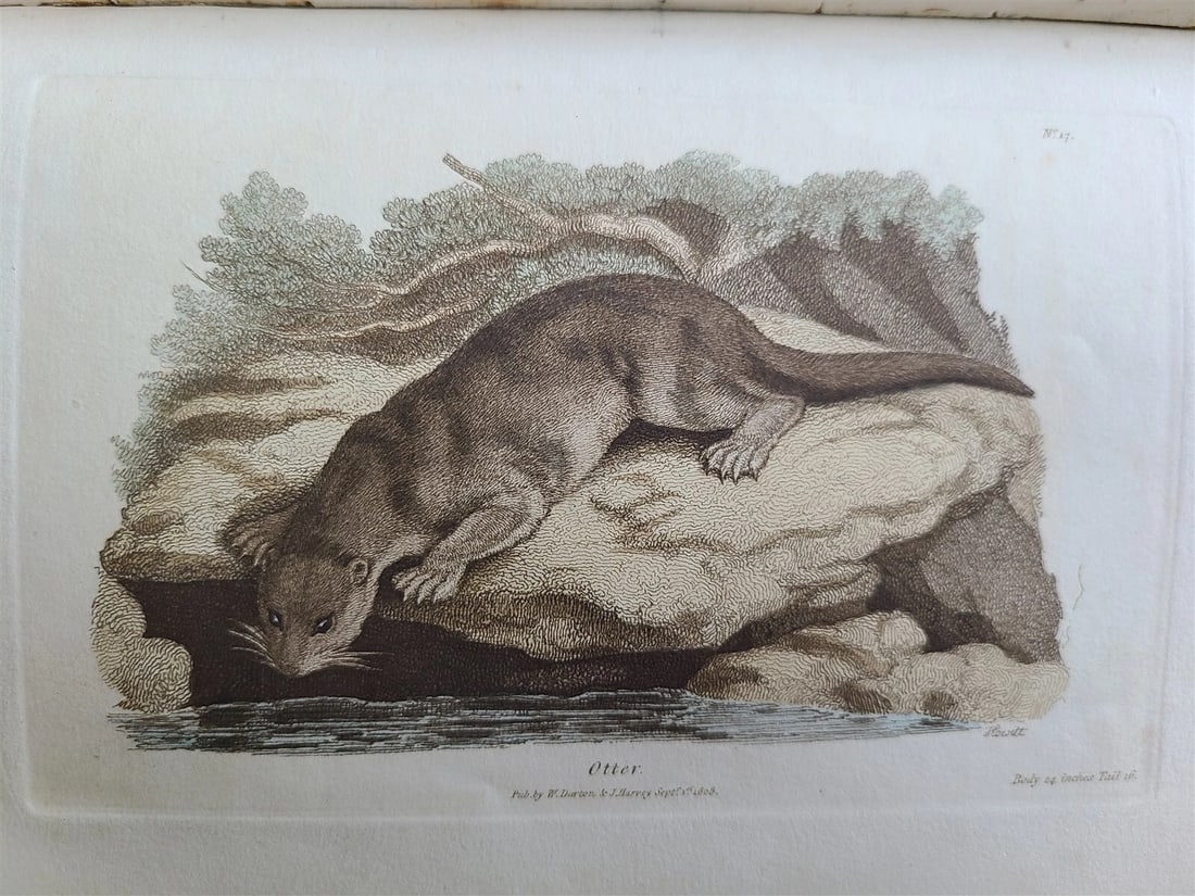 1809 BRITISH QUADRUPEDS by BINGLEY 2 VOLS FULLY ILLUSTRATED antique in ENGLISH - 4
