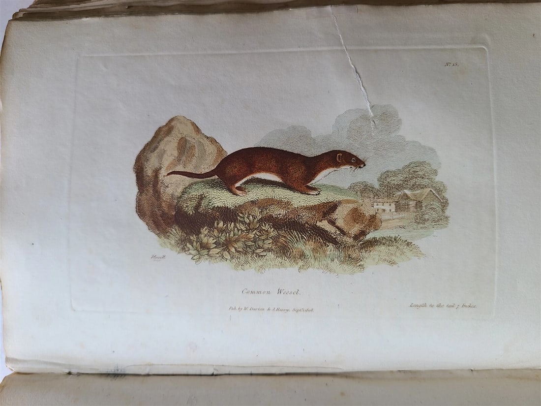 1809 BRITISH QUADRUPEDS by BINGLEY 2 VOLS FULLY ILLUSTRATED antique in ENGLISH - 5