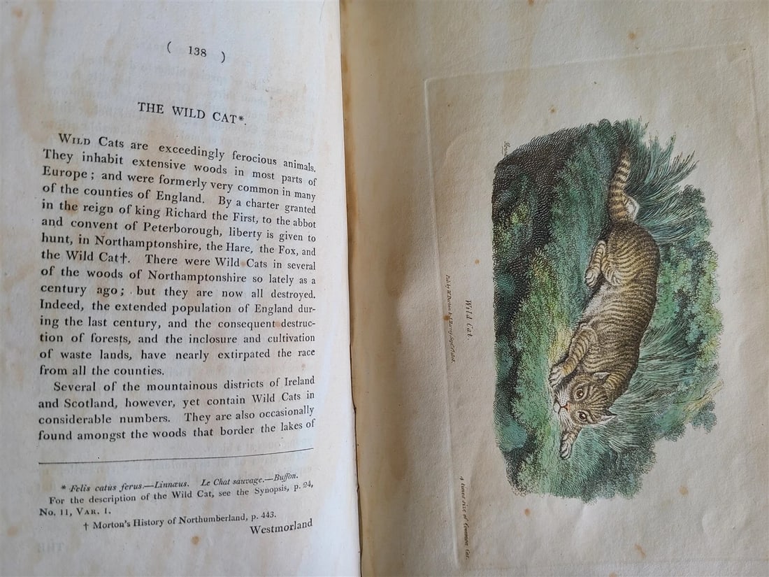 1809 BRITISH QUADRUPEDS by BINGLEY 2 VOLS FULLY ILLUSTRATED antique in ENGLISH - 7