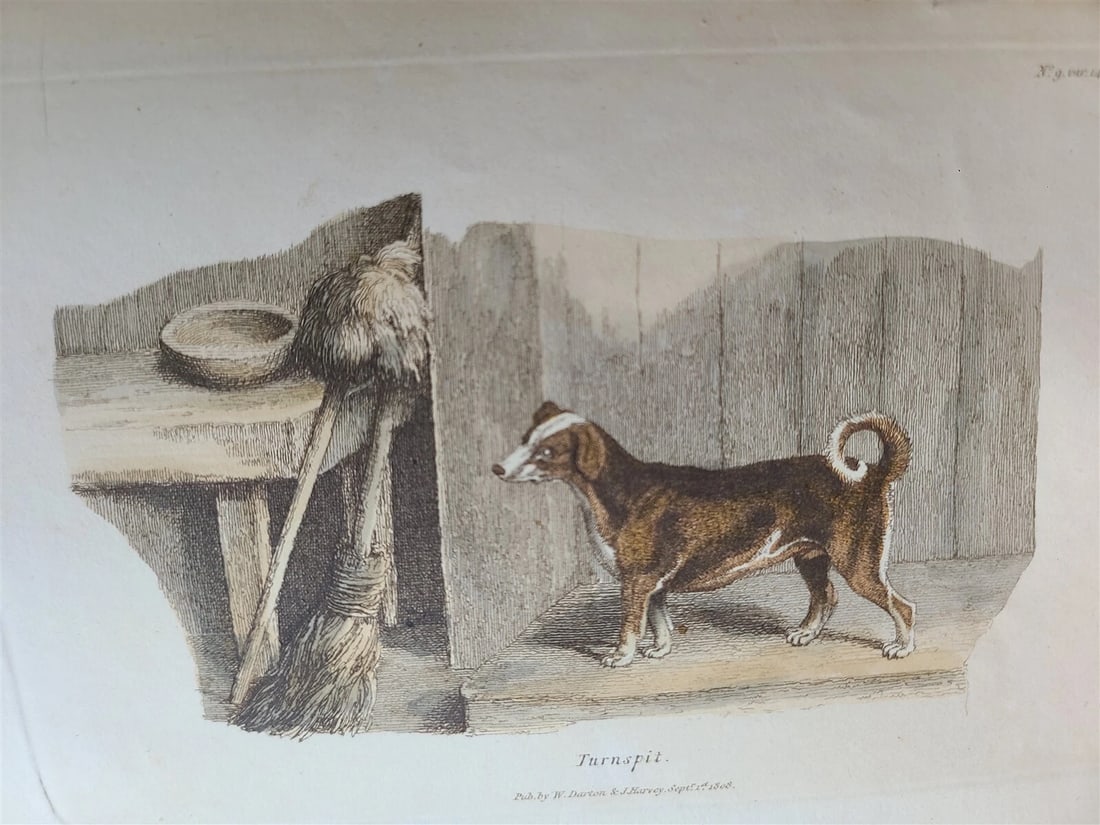1809 BRITISH QUADRUPEDS by BINGLEY 2 VOLS FULLY ILLUSTRATED antique in ENGLISH - 8