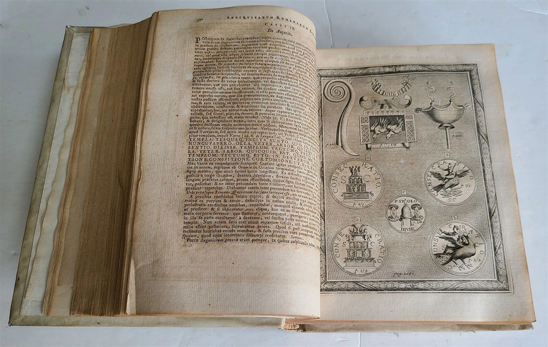 1743 ROMAN HISTORY antique ILLUSTRATED VELLUM BOUND Antiquitatum Romanarum LATIN - 6