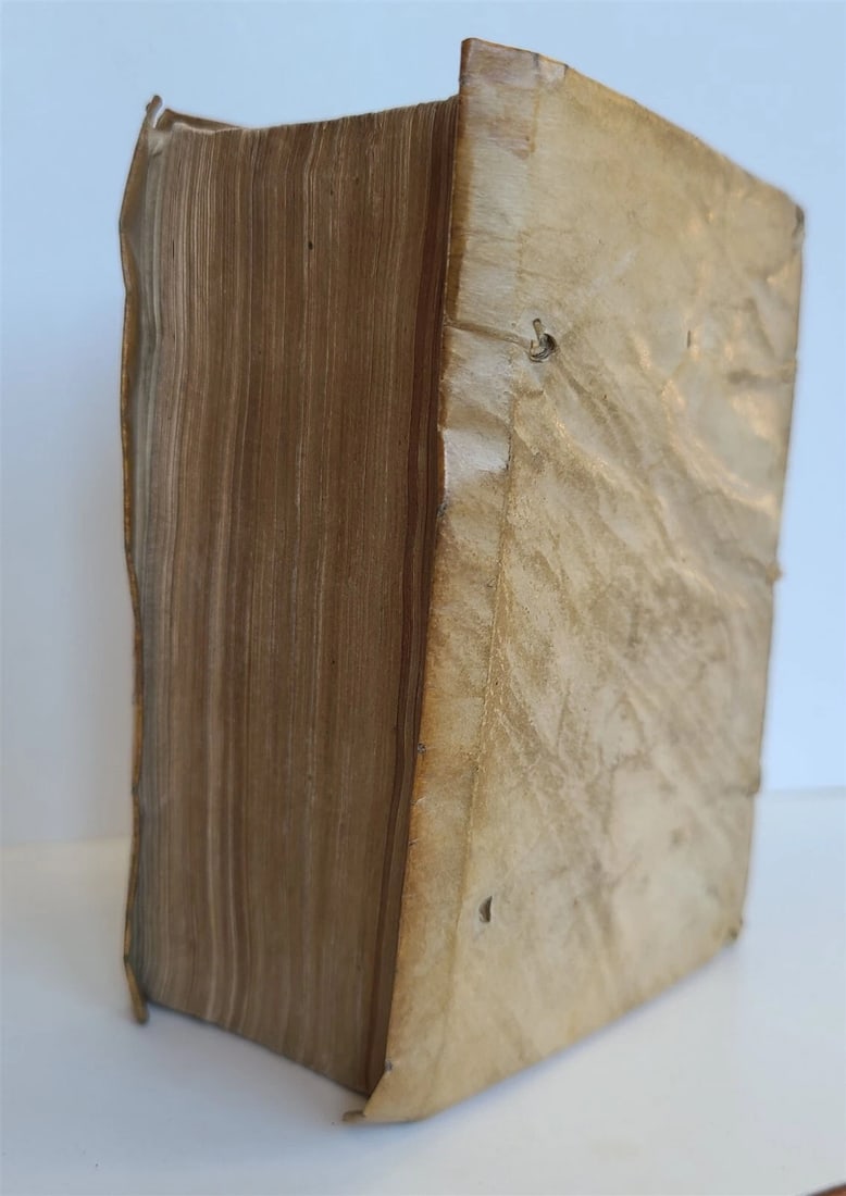 1553 Elucidatio paraphrastica in librum D. Iob by Franz Titelmans antique VELLUM - 3