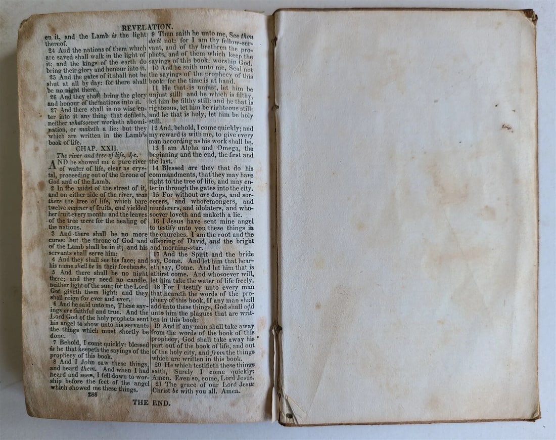 1856 BIBLE in ENGLISH NEW TESTAMENT antique Philadelphia Americana - 4