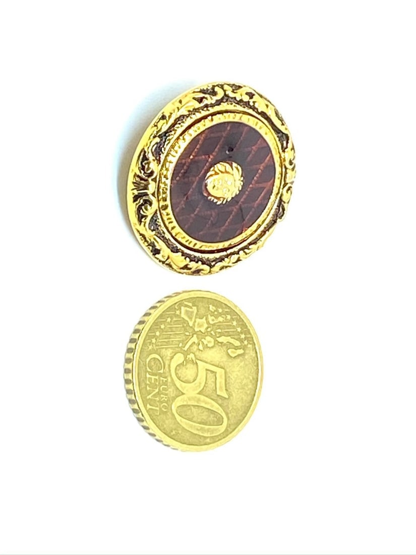 Versace Vintage Medusa Head Shank Button with Brown color lacquer and border - 10